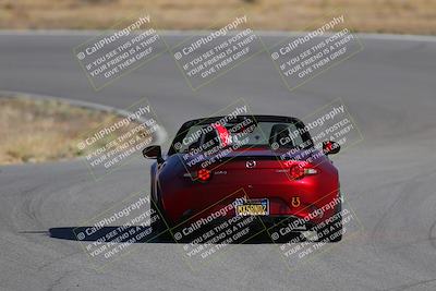 media/Nov-19-2023-Extreme Speed (Sun) [[bd0eec5490]]/Green/Back Shots/